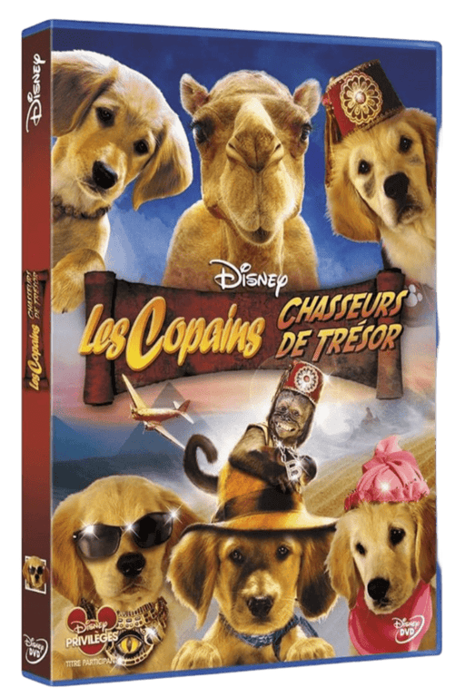 Les Copains Chasseurs de trésor - DVD 8717418318925