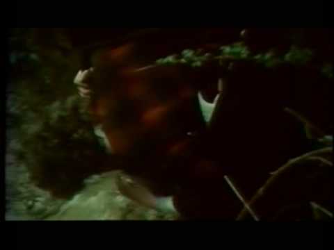 Désordre (1986) Olivier Assayas